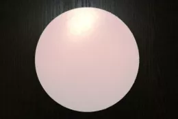 Disques à tourte 28cm (11E00)